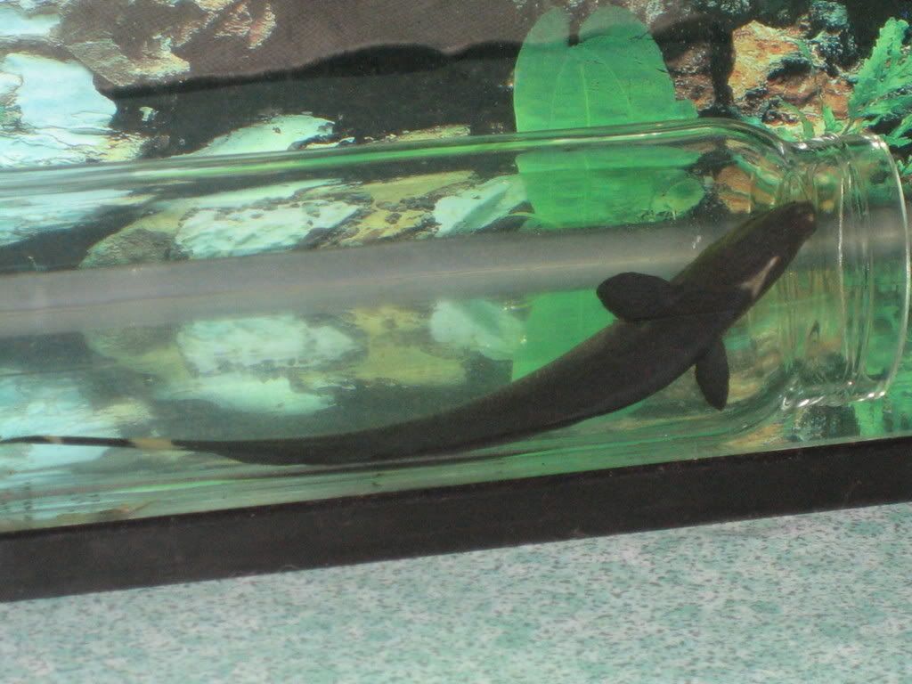 max02asleep.jpg