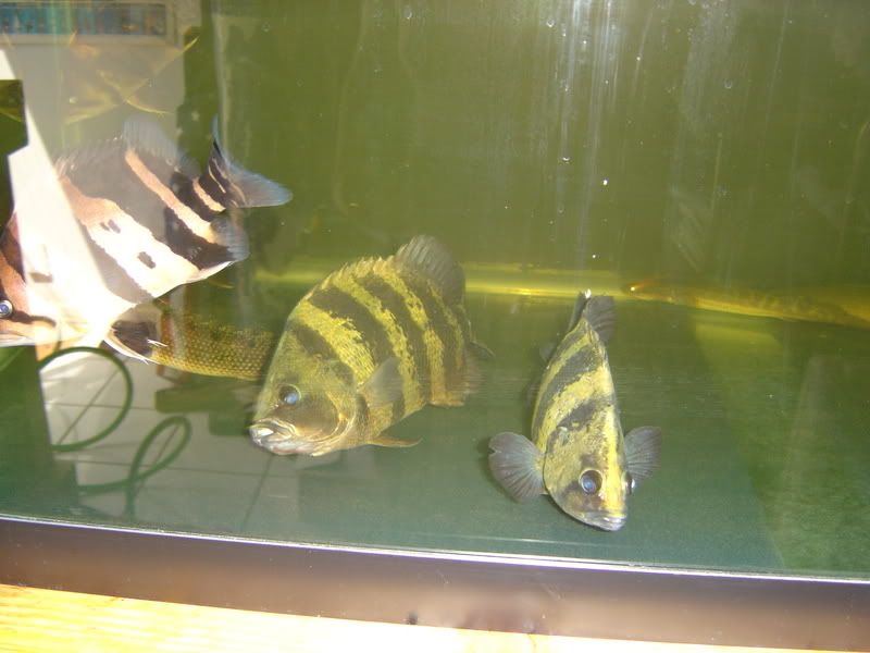 9-22-08001.jpg