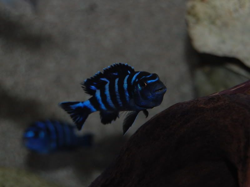March2008345.jpg