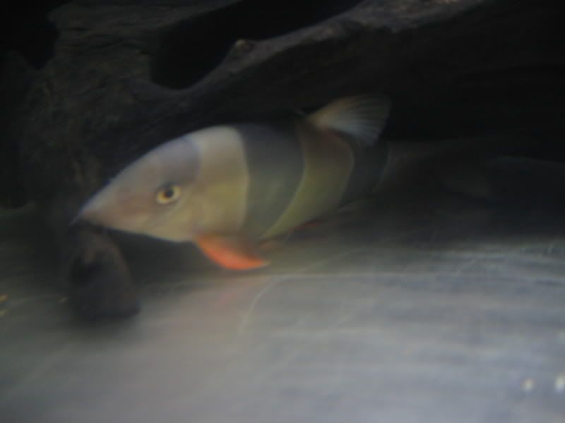 5-17-08008.jpg