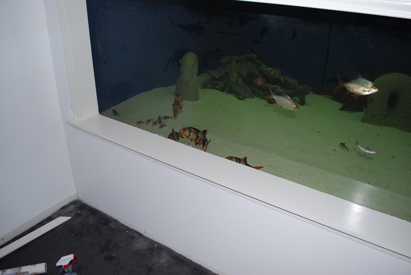 DSC_0241.JPG