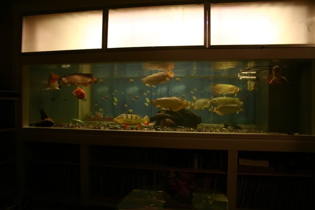 oct09111.jpg