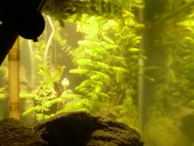 DSCN0848.jpg