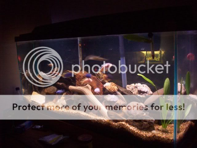 FishPics023-1.jpg