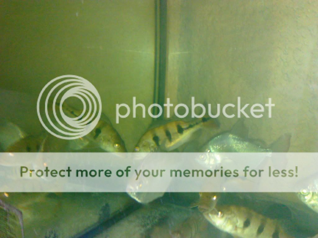 072520101824.jpg