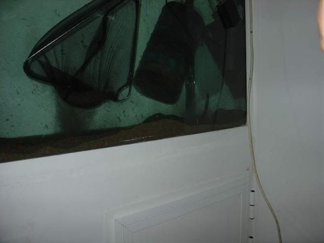 DSC01658.jpg