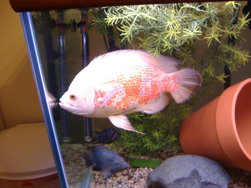 DSCF1317.jpg