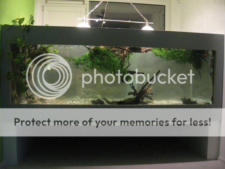 2012-12-0442-1.jpg