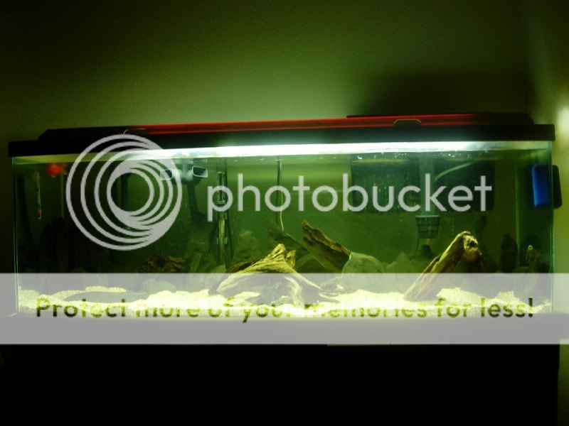 DSCN0901.jpg
