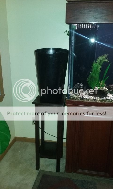 20160824_223712_zpsivijjpl7.jpg