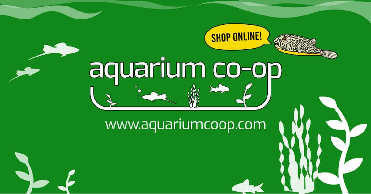 www.aquariumcoop.com