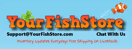 yourfishstore.com