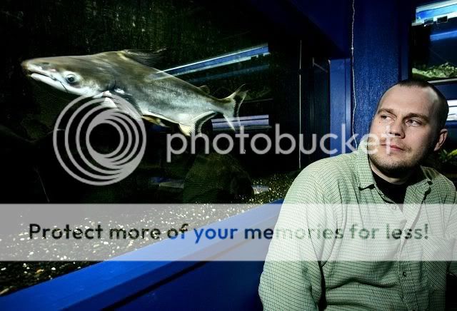 Pangasius sanitwongsei ?