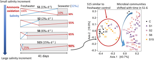 www.sciencedirect.com