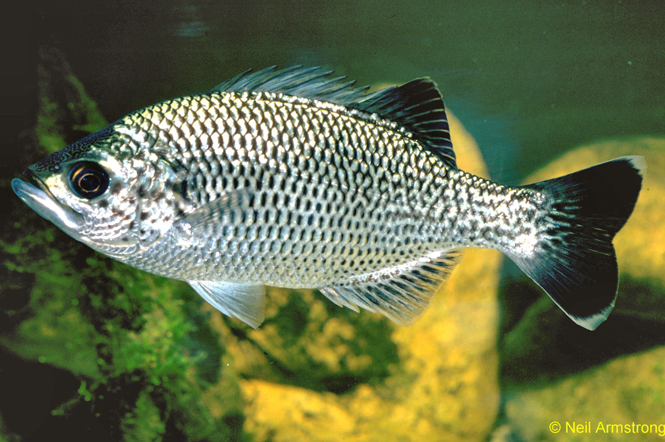 59L_AMgw0TILHAQzX0zuUI-jnNUwihEHAChh4bEkSvgOzHWYieboT16TTQxYQkH5TL_FOsIeUmyeAS-upkBxRSTDxfJQH7QD-cPG8yT7a1tTIsIef_A7jdkr_Lv4nr7lMhm4IoO-