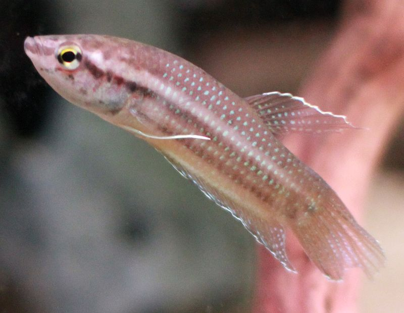 M7fnmfK3nmHErzP0akzRXHTCdeeYQ85kuiuQFRsPtgecF14RoRwgJj1lkGHeVG9ZGvkx4Oun4CEm2XcCyRGh7fs_-lRtoSHytV6Mx8FRynopwTH7ff4HsrbTjR6K2LTQPzIqf59Q