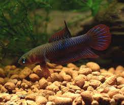 TKDVK7Re3Ff0tPEzGqBXbkJnaHbNNRE4ZL5-qO3XBRwFgCcBIje7gVdHvtdiNX99h41djRBUqp6q24O7C9xQvG74SRjJXeqXP38t1oaBsT77ddm90uO2fILBiIfniyjMJX8Tp-UaJQRpbaT8cA