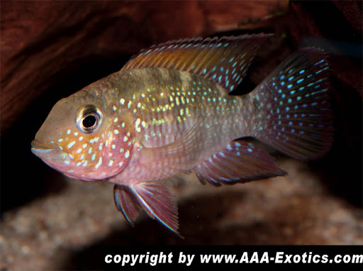 WstTXcCSz0qGP6GpoPf2nT7ODNs4m1hbQHwxjcBo5LTo3e8LqUfx0rqSYXVR7eQGrSwZqfGxEkeY1xeq0inbnuWuMixJ_h_Rc8y2BQ7Q63n0bkmuiXo9RvvV8uV3tVRcZYxN9cFh