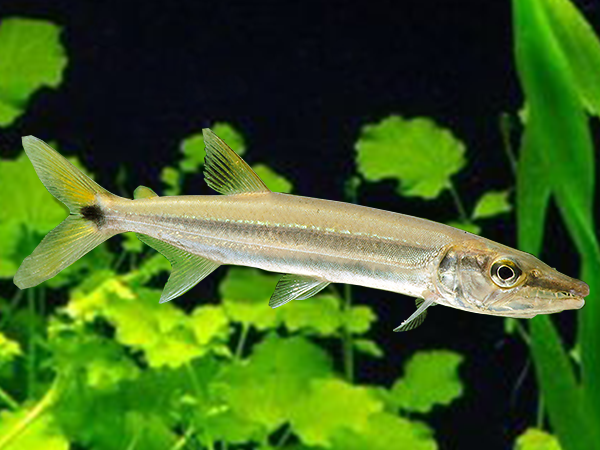 muKCt2EBnrVeiaaF_8NcKQ1q5zSMMdHZcsQes0B0cLt2tviZOQ2B48XMjzYm8lUruM-Vqm-mr-qkHbzvmtmcwFsB7moXDhCUP_1rQ0c4pqE0iaqRxy1kvusC4eOly00C7wFRrVn4