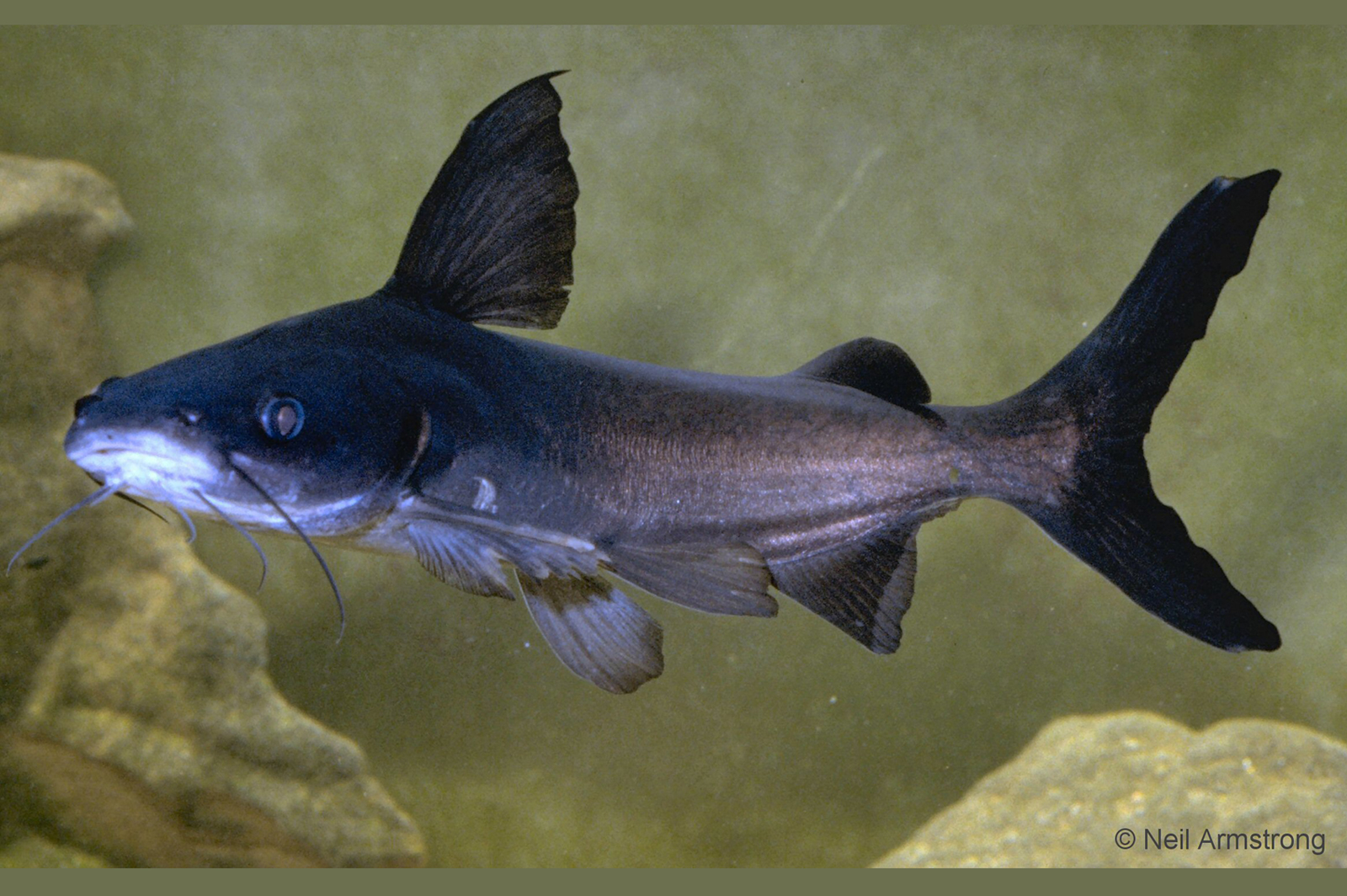 bavvJiUW3yrGJuYlDurYh-G6qmsQmghPtdnsSn_xM872l0CIWrgNLXYSRgTDouIGJmsEPMCGp6cqy7kEWxEgOAdo0Grg6Il0i05uaJObR3nbL-j21VosFdBtLTtEdaTcEzdt9vydxW27fU_TKQ