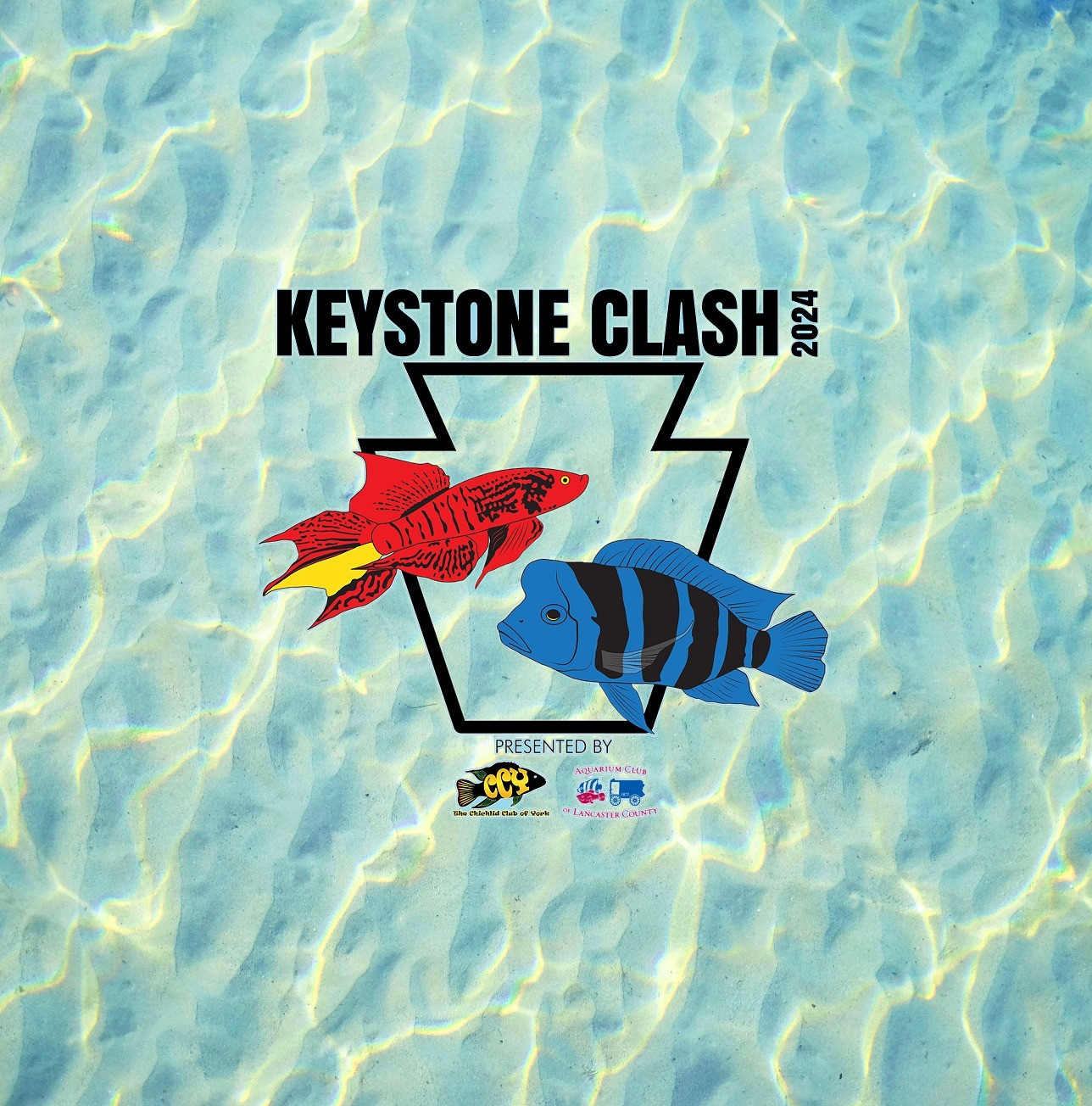 www.keystoneclash.com