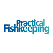www.practicalfishkeeping.co.uk