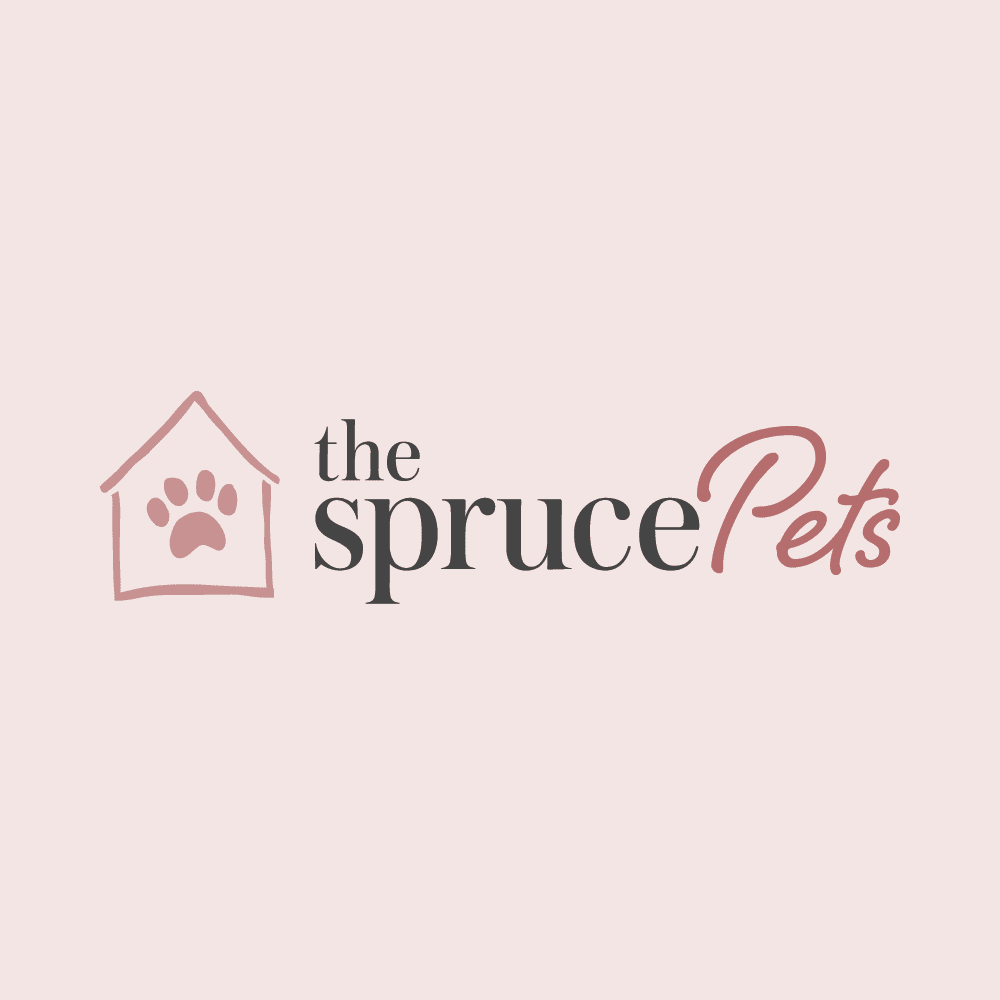 www.thesprucepets.com