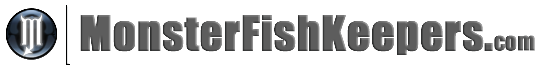 do black ghost knife fish have teeth MonsterFishKeepers.com